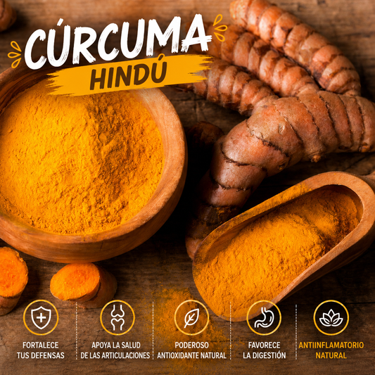 Cúrcuma en Polvo Gourmet Hindú 500g| Origen India