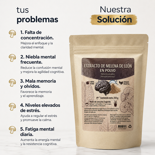 Melena de León - Hongo Medicinal para Memoria y Concentración
