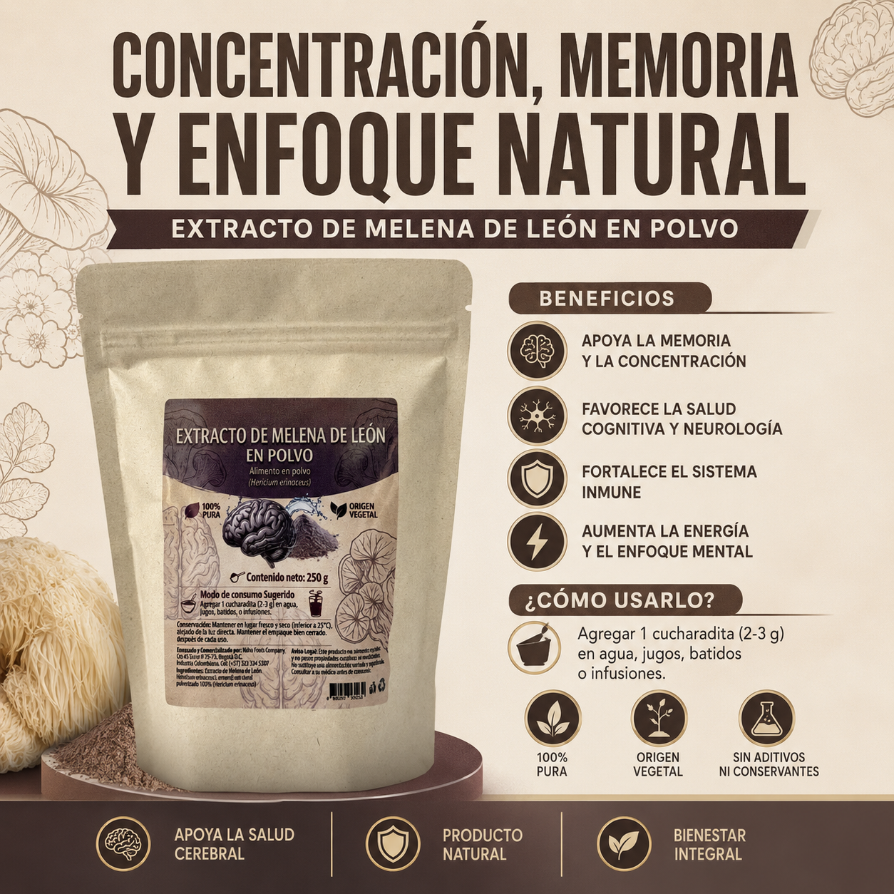 Melena de León - Hongo Medicinal para Memoria y Concentración