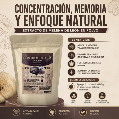 Melena de León - Hongo Medicinal para Memoria y Concentración