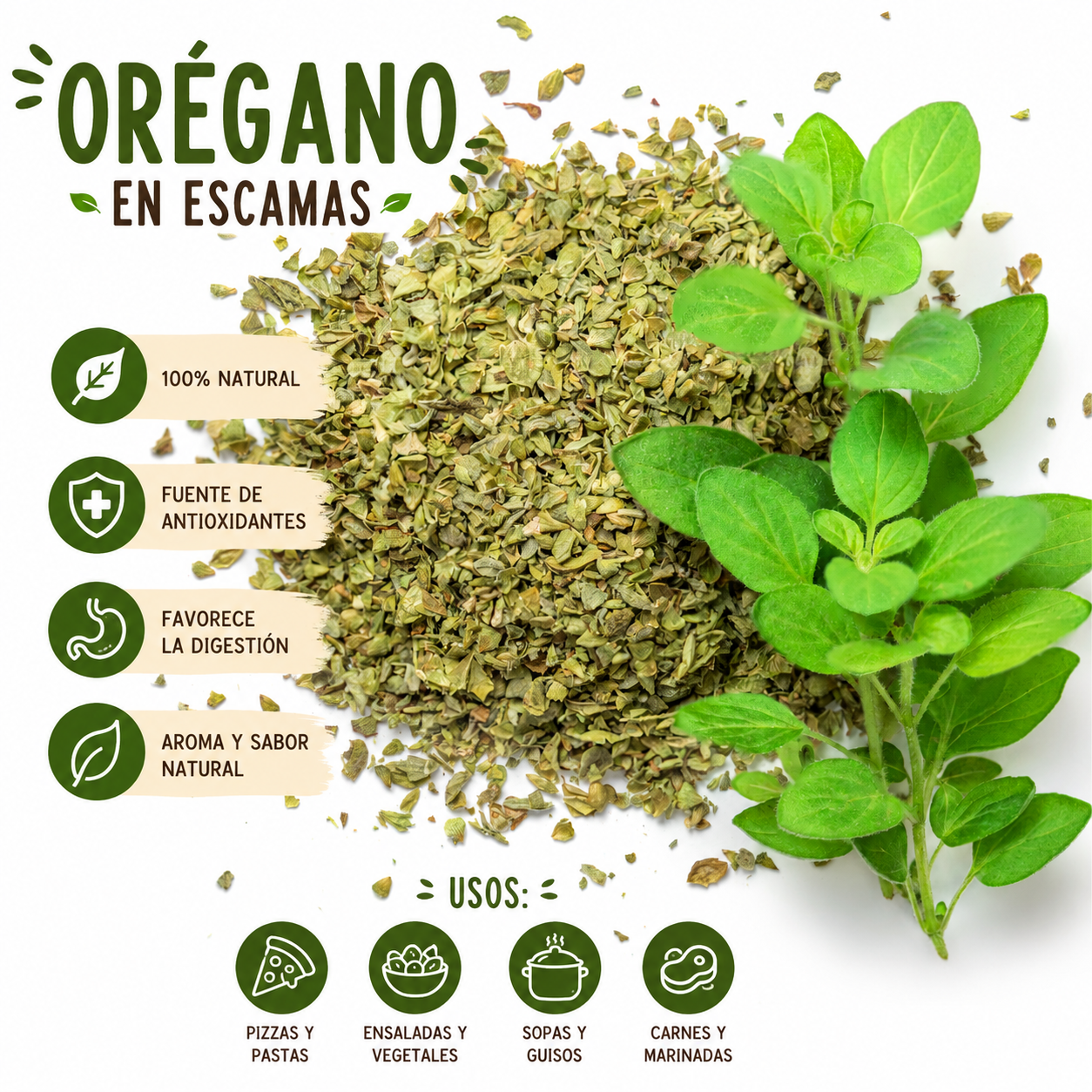 Orégano