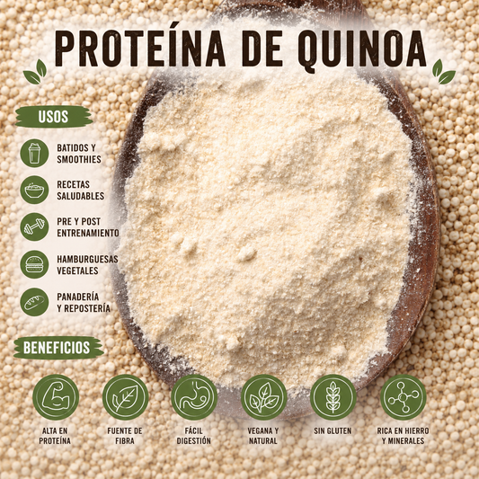 Proteína de Quinoa en harina