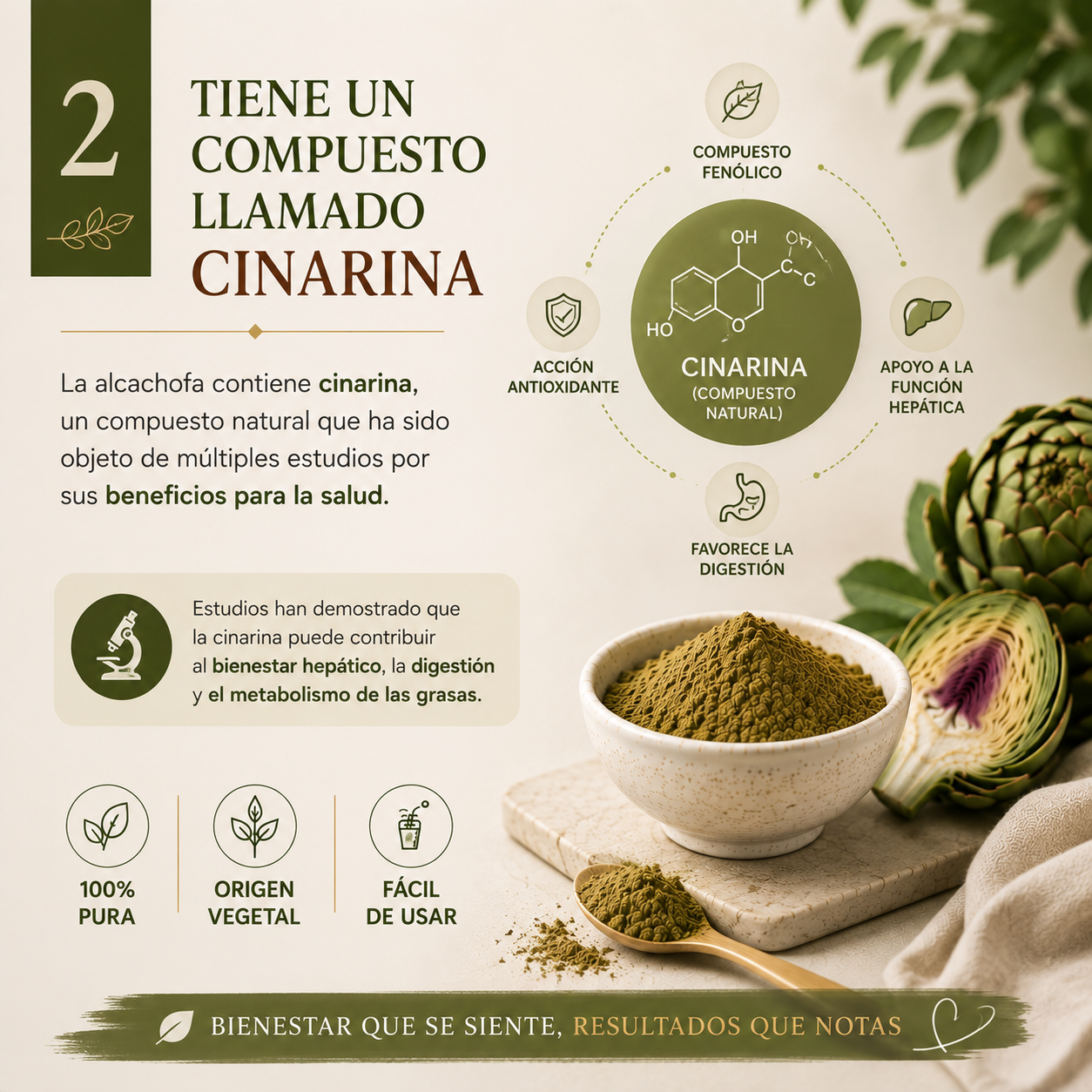 Extracto de Alcachofa en Polvo Premium *250gr- Mejora tu Digestión