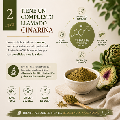 Extracto de Alcachofa en Polvo Premium *250gr- Mejora tu Digestión
