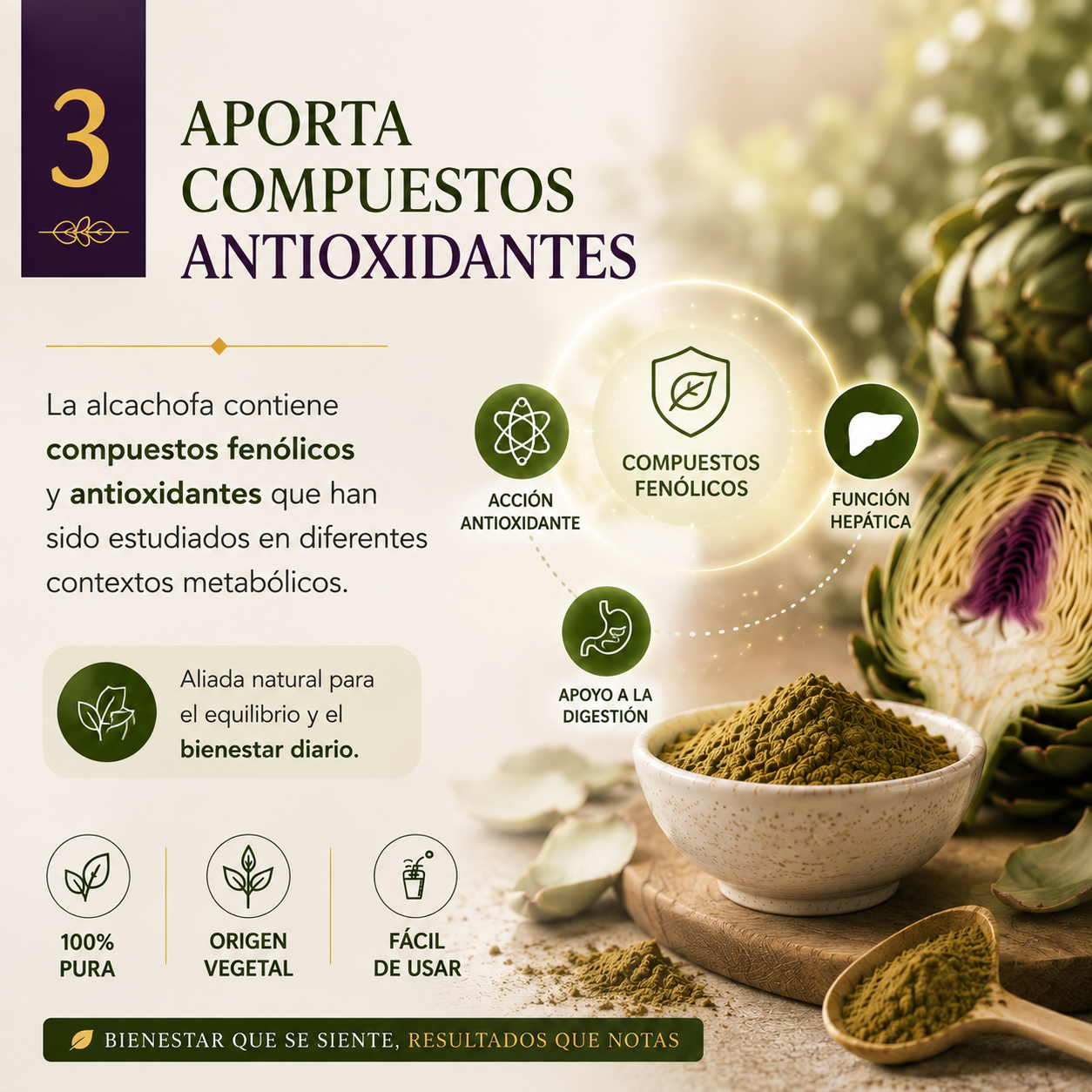 Extracto de Alcachofa en Polvo Premium *250gr- Mejora tu Digestión