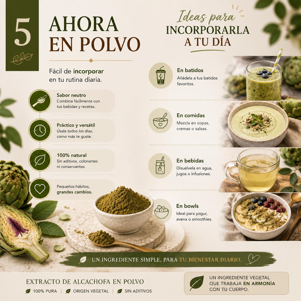Extracto de Alcachofa en Polvo Premium *250gr- Mejora tu Digestión